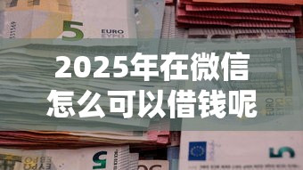 2025年在微信怎么可以借钱呢？整合5个无退休金65岁老人贷款平台