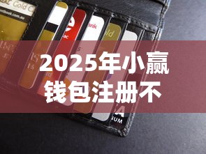 2025年小赢钱包注册不通过：整理5个先息后本正规贷款平台