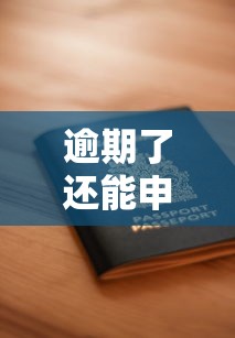 逾期了还能申请贷款吗？新口子审核条件大解析