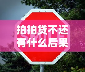 拍拍贷不还有什么后果？这几点影响你可能想不到