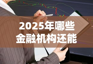2025年哪些金融机构还能快速下款？这5家平台审核快、额度高