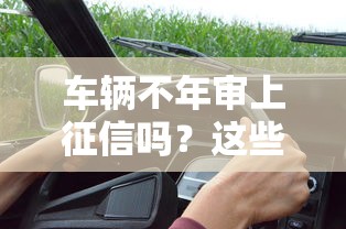 车辆不年审上征信吗？这些贷款影响要注意