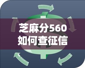芝麻分560如何查征信记录？信用小白必看攻略