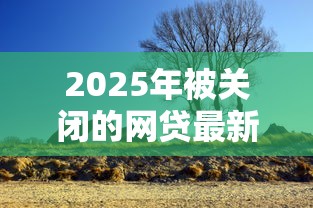 2025年被关闭的网贷最新动态与应对指南