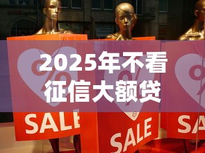 2025年不看征信大额贷款怎么贷：分享5个网贷平台