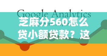 芝麻分560怎么贷小额贷款？这3个办法亲测有效