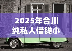 2025年合川纯私人借钱小额微信？梳理5个车辆抵押贷款平台