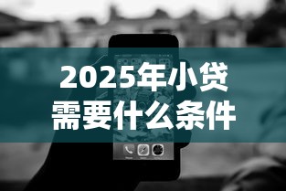2025年小贷需要什么条件才能通过：分享5个百分百下款无视黑白户网贷