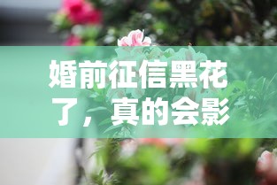 婚前征信黑花了，真的会影响婚后生活吗？