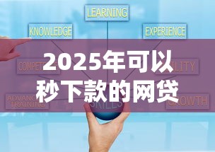 2025年可以秒下款的网贷有哪些，公布5个好申请的网贷平台