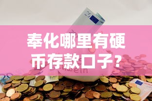 奉化哪里有硬币存款口子？这几个渠道实测能用