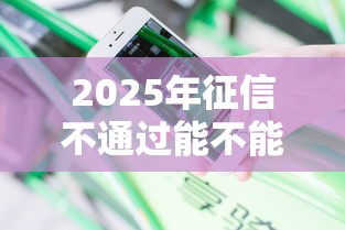 2025年征信不通过能不能贷款？分享五个和安逸花一样的平台还