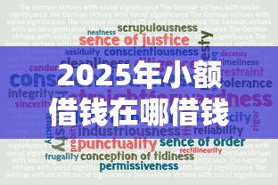 2025年小额借钱在哪借钱：罗列五个信用贷款平台