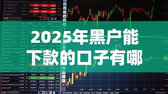 2025年黑户能下款的口子有哪些？这5个平台或许能帮你！