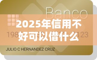 2025年信用不好可以借什么软件贷款，公布五个网贷平台好下款