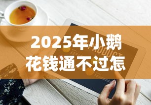 2025年小鹅花钱通不过怎么办？罗列五个p2p网贷平台