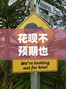 花呗不预期也上征信吗？亲测后发现这3点要注意