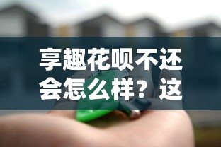 享趣花呗不还会怎么样？这5个后果你可能真扛不住！