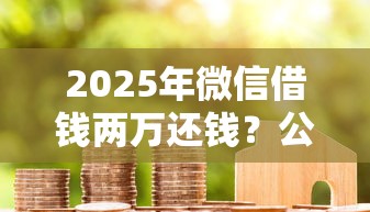2025年微信借钱两万还钱？公布五个花户借款平台容易通过