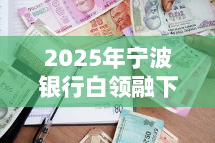 2025年宁波银行白领融下款被拒，罗列五个平台公司贷款