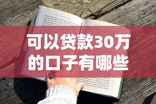 可以贷款30万的口子有哪些？实测这几个平台审批快、额度高