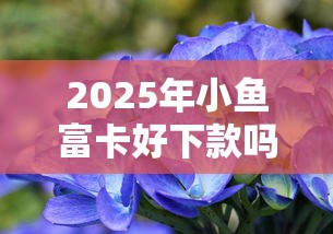 2025年小鱼富卡好下款吗：罗列5个2025大花户放水秒下款的口子