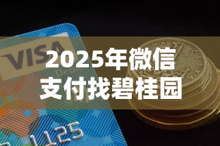 2025年微信支付找碧桂园借钱：罗列五个2025买会员有额度的口子