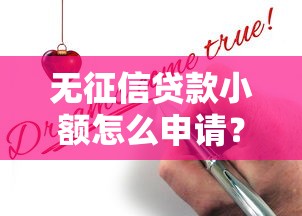 无征信贷款小额怎么申请？三种正规渠道亲测有效