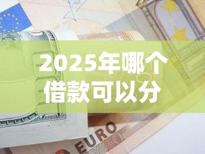2025年哪个借款可以分36期：整理五个19岁贷款平台
