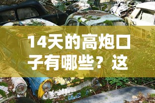 14天的高炮口子有哪些？这3类平台用过都说周转快