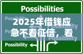 2025年借钱应急不看征信，看看这五个2025互联网正规持牌贷款平台