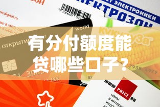 有分付额度能贷哪些口子？这5个平台通过率高还能灵活用款
