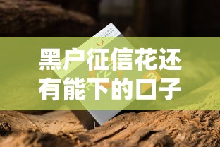 黑户征信花还有能下的口子吗？过来人实测三个方案