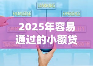 2025年容易通过的小额贷款平台正规吗可靠吗：梳理五个好口子