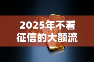2025年不看征信的大额流水贷：看看这五个黑户成功获取大额贷款的口子