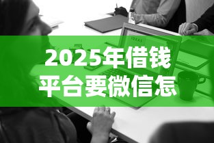 2025年借钱平台要微信怎么办，公布五个无视风控10000必下口子