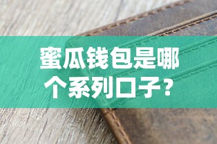 蜜瓜钱包是哪个系列口子？贷款产品定位解析