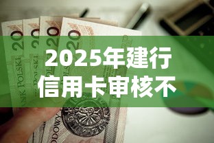 2025年建行信用卡审核不通过吗：公布5个企业贷款平台