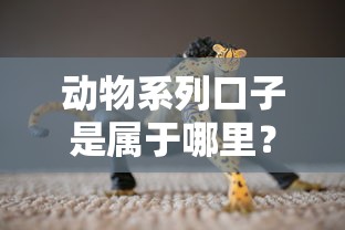 动物系列口子是属于哪里？这5个正规平台必须收藏