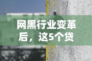 网黑行业变革后，这5个贷款平台如何帮你避开深坑？