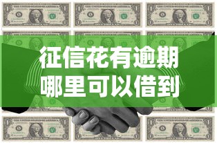 征信花有逾期哪里可以借到钱？试试这几个办法或许能解决