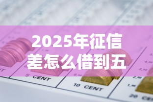 2025年征信差怎么借到五万块钱：推荐5个网贷查询平台