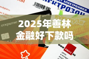 2025年善林金融好下款吗：整理五个近期查询多负债高还能出额度的口子