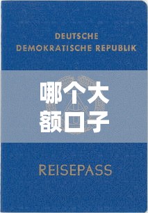 哪个大额口子利息低？实测这5家平台审批快还靠谱