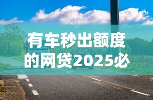 有车秒出额度的网贷2025必看攻略！车主专属低息方案实测分析