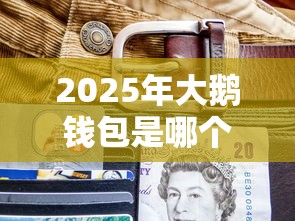 2025年大鹅钱包是哪个平台的：罗列五个容易借贷的网贷平台