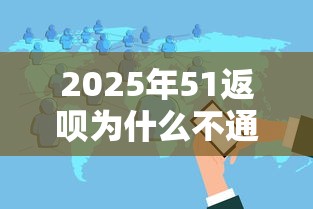 2025年51返呗为什么不通过：分享五个薪朋友一样的预支口子