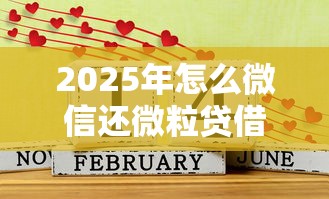 2025年怎么微信还微粒贷借钱，试试这五个网贷款平台哪一个好借钱