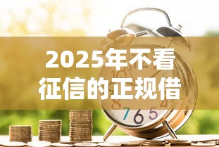 2025年不看征信的正规借贷，整合5个网络贷款平台排名不分先后