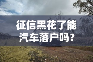 征信黑花了能汽车落户吗？3个办法帮你顺利提车